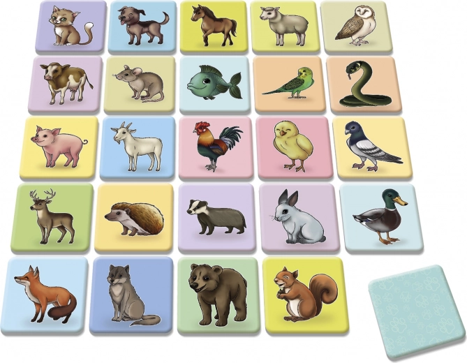 Πολύχρωμες και ποιοτικές εικονογραφήσεις