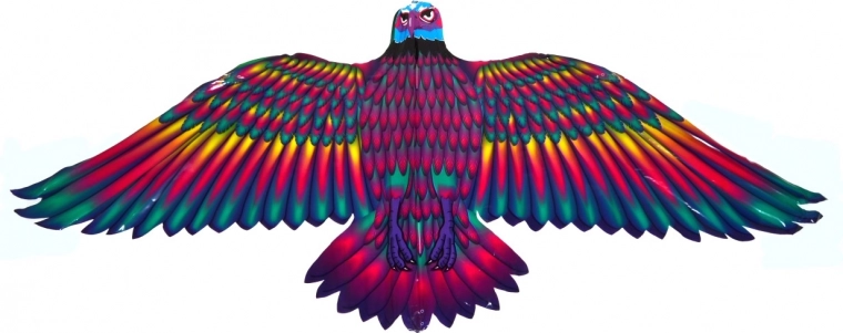 Σταθερή πτήση χάρη στα φαρδιά φτερά