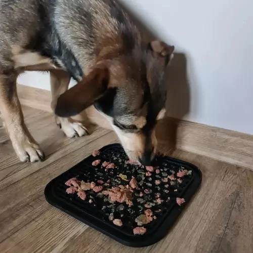 Μασάζ ούλων και πιο αργό τάισμα