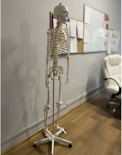 Πραγματικό μέγεθος 1:1