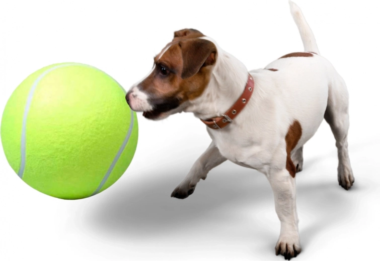 Ιδανικό για απόρτ και κοινή αλληλεπίδραση