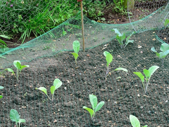 Εύκολη εγκατάσταση και προσαρμογή