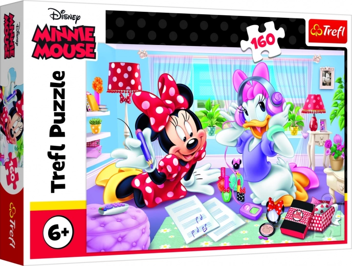 Παιχνιδιάρικο θέμα MINNIE και DAISY