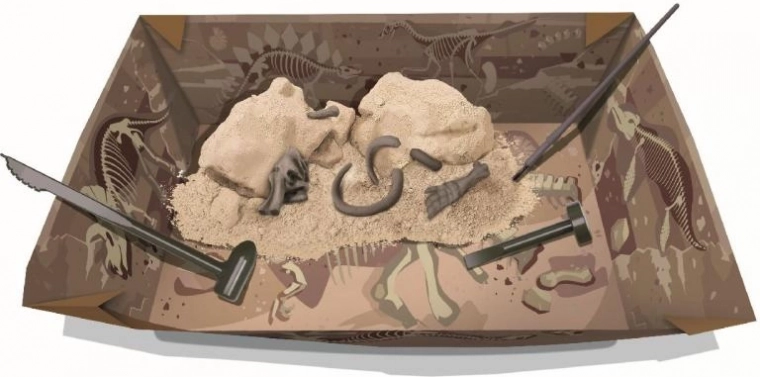 Σκάψε και ανακάλυψε: γύψινο μπλοκ με απολιθώματα