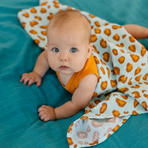 Πολυχρηστική χρήση