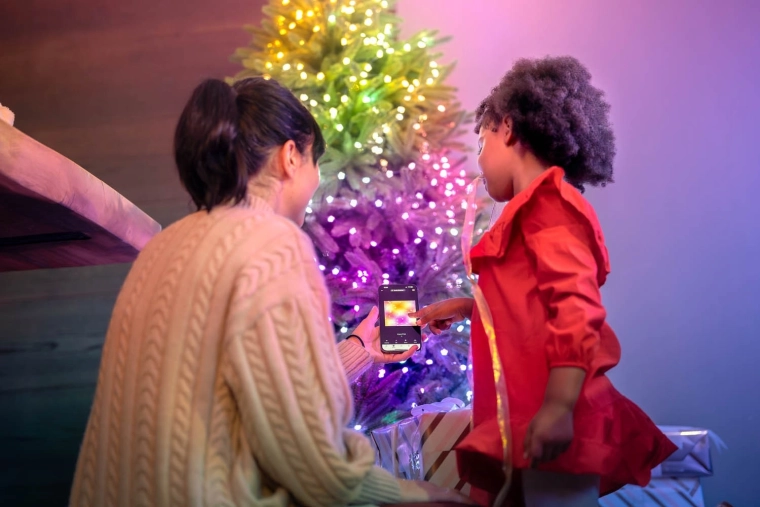 Διαδραστικός έλεγχος