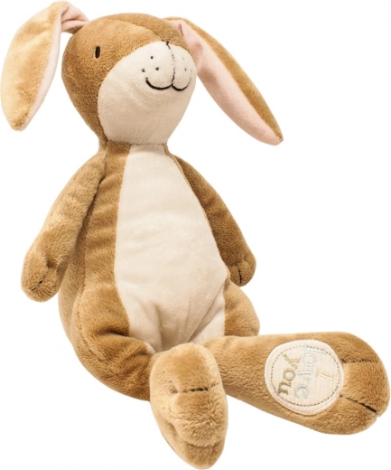 Καθολικό δώρο