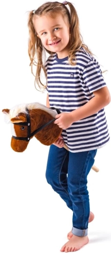 Δραστηριότητα παιχνιδιού