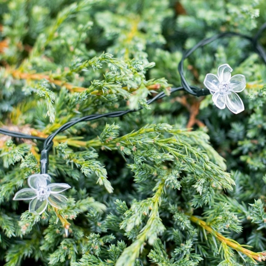 Λουλουδάτος σχεδιασμός και πολύχρωμο εφέ