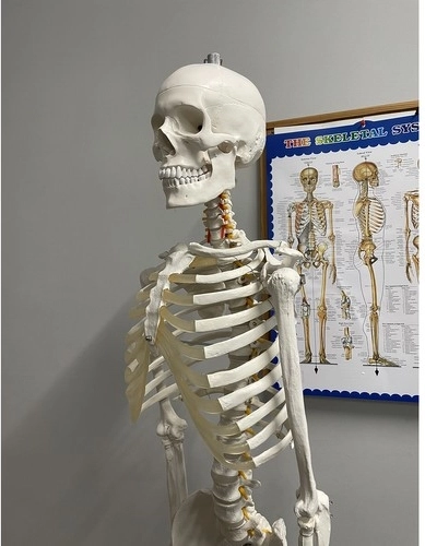 Εκπαιδευτικό βοήθημα με αφίσα