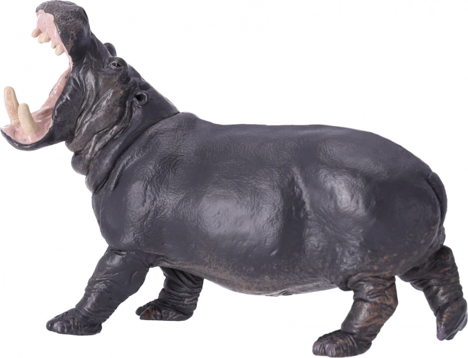 Ασφαλή υλικά χωρίς φθαλικές ενώσεις