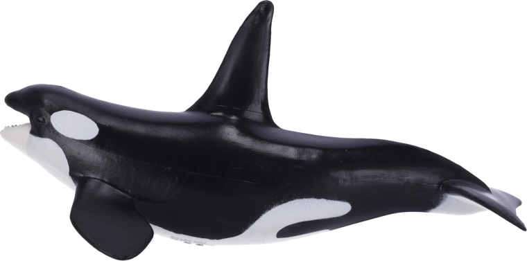 Εκπαιδευτική και συλλεκτική