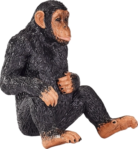 Εκπαιδευτική αξία