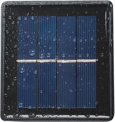 Ανθεκτικά σε κάθε καιρό