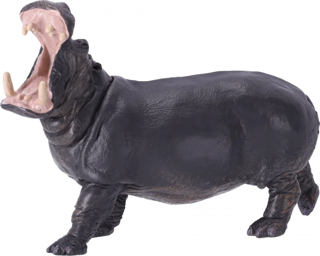 Εκπαίδευση και συλλεκτική αξία