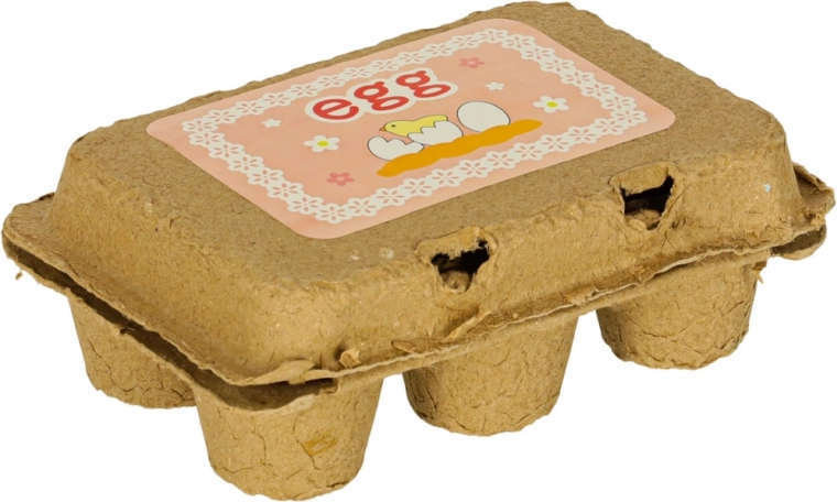 Ρεαλιστική χάρτινη θήκη 6 αυγών