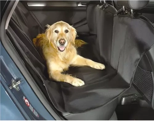 Άνετος χώρος για τον σκύλο χωρίς ακαταστασία