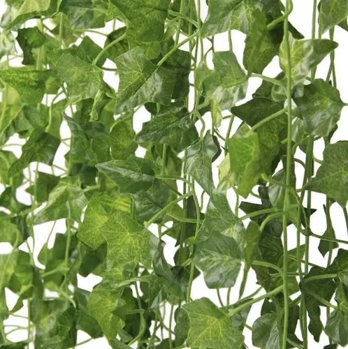 Ευέλικτη χρήση