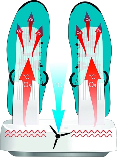 Απολύμανση με όζον και απομάκρυνση οσμών