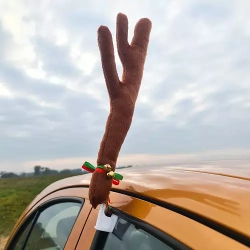 Κέρατα με χριστουγεννιάτικο σχέδιο