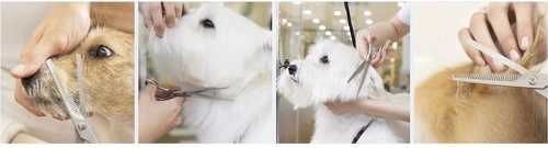 Επαγγελματική εργονομία και ομαλή λειτουργία