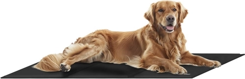 Διάσταση XXL – άνεση για κάθε φυλή!