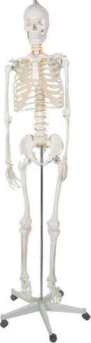 Κινητό και ευέλικτο