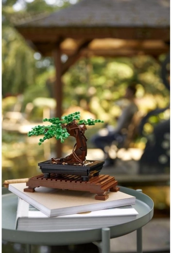 Δημιουργική κατασκευή για ενήλικες