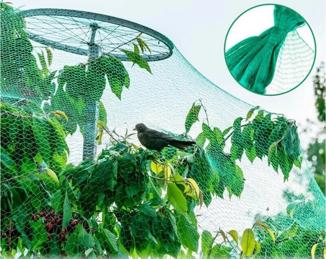 Διακριτική και φυσικά ταιριαστή πράσινη απόχρωση