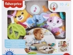 Μαξιλαράκι κοιλιάς Fisher-Price βραδύποδας